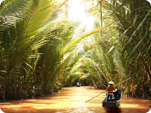 Mekong Delta