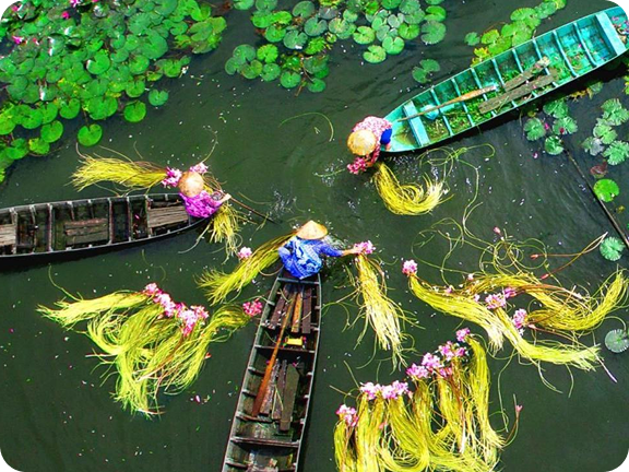 Mekong Delta