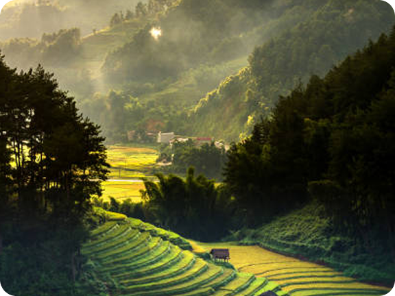 Sapa