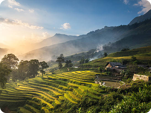 Sapa