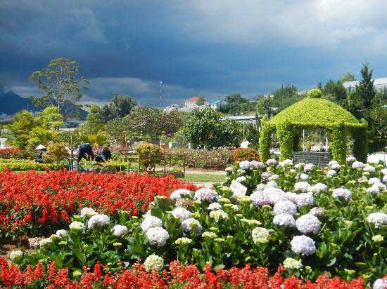 Da Lat - Viet Nam