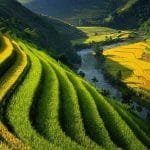 best times to visit Vietnam